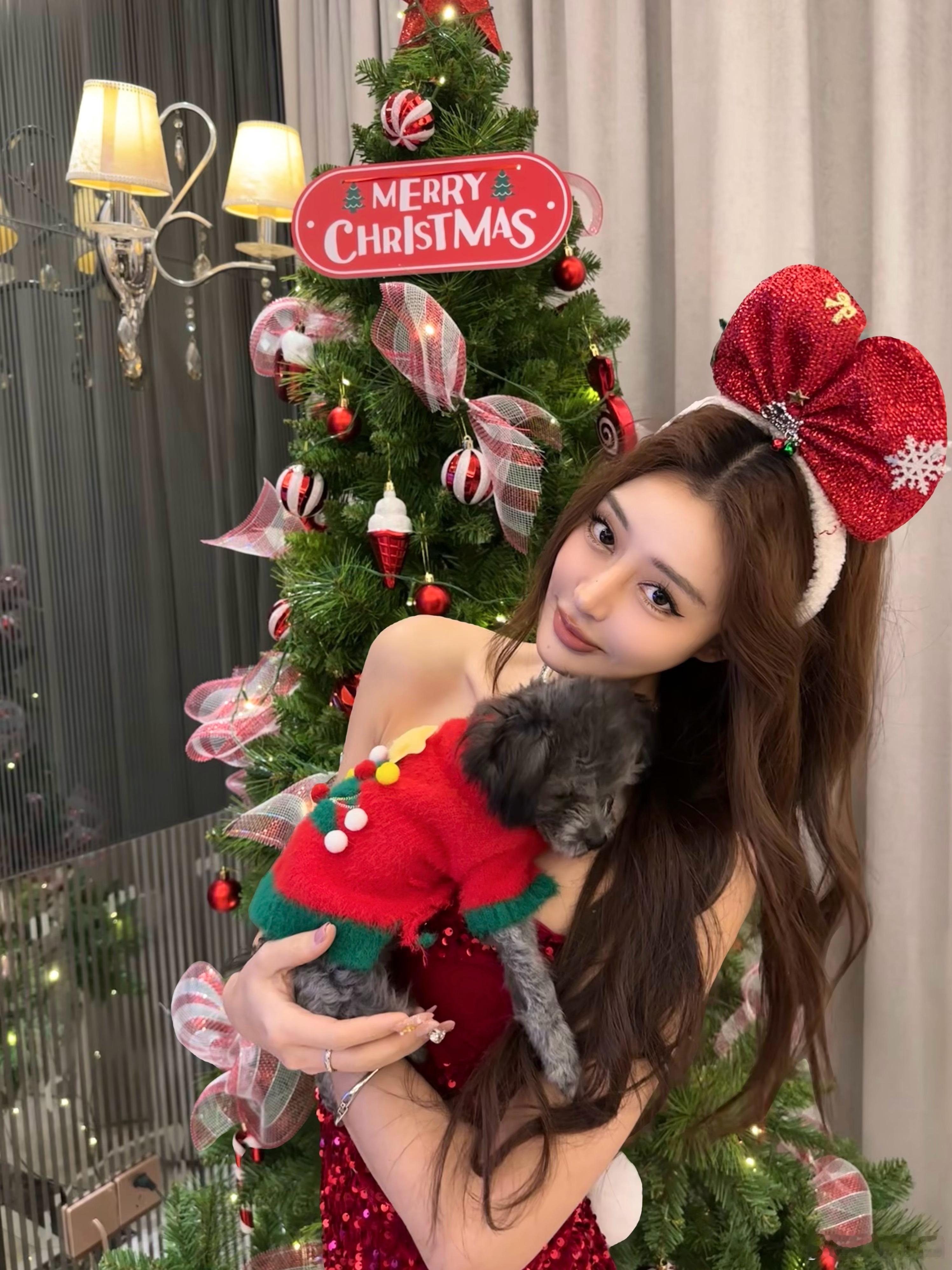 圣诞的快乐聚会！🎄 