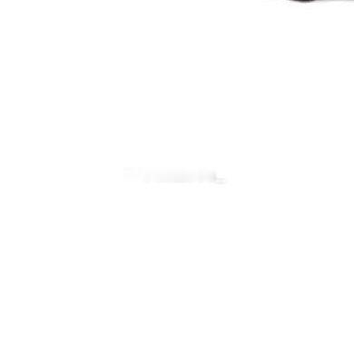0000竹笋的种植并非“种竹子等挖笋”那么简单，它更像一场与时间的博弈。这份教程