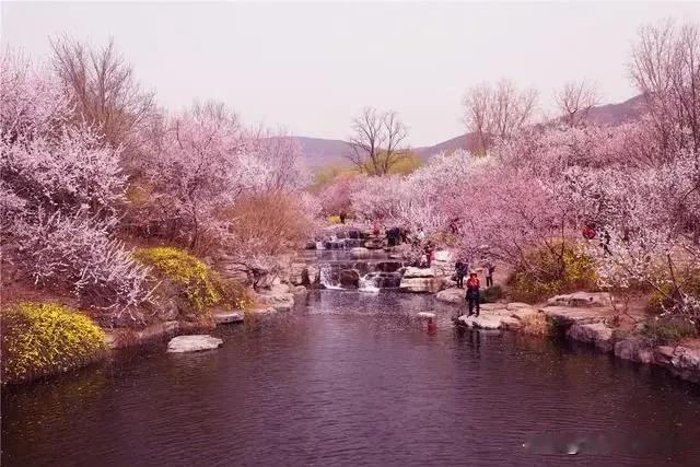 桃花溪
半树残红半树风，
一溪轻浪一溪逢。
谁人酿尽桃花酒，
醉卧柳堤老钓翁。