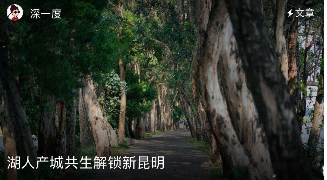 湖人产城共生解锁新昆明 确如所言！只有真正来过云南昆明，才能体会那种‘共生’带来
