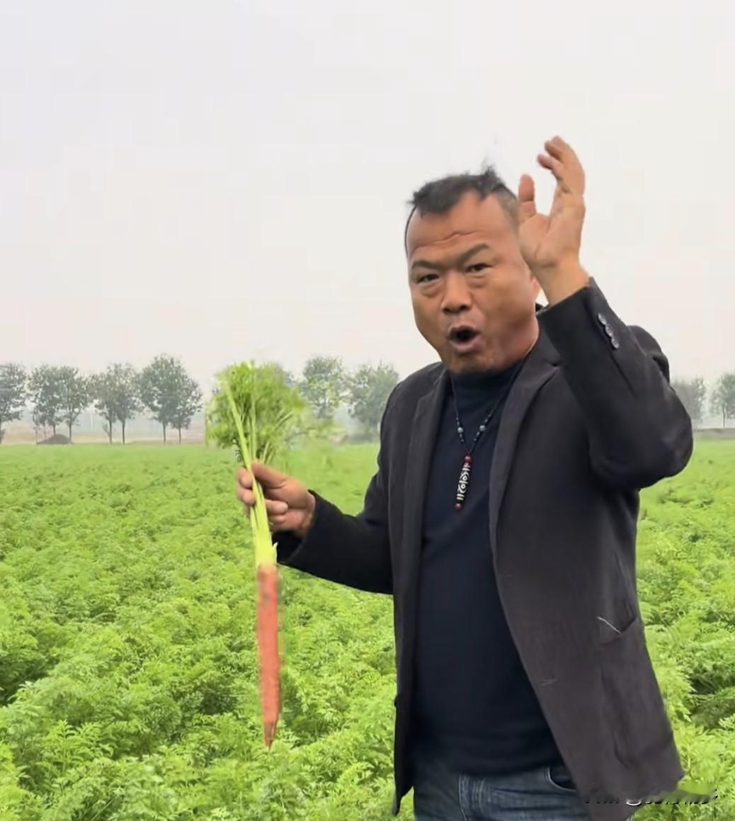 老家咸阳市东郭村乡党种的胡萝卜大丰收了，老哥在地里拔了两个胡萝卜拍起了视频，介绍