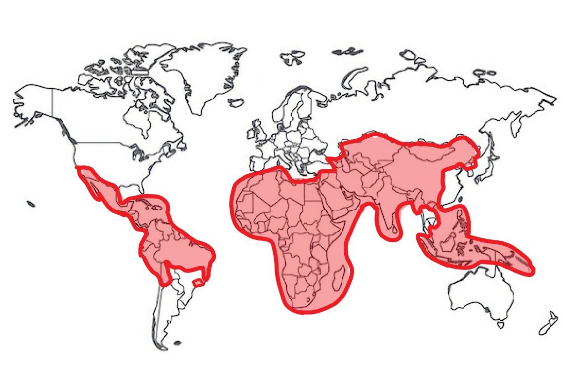 分享图片 