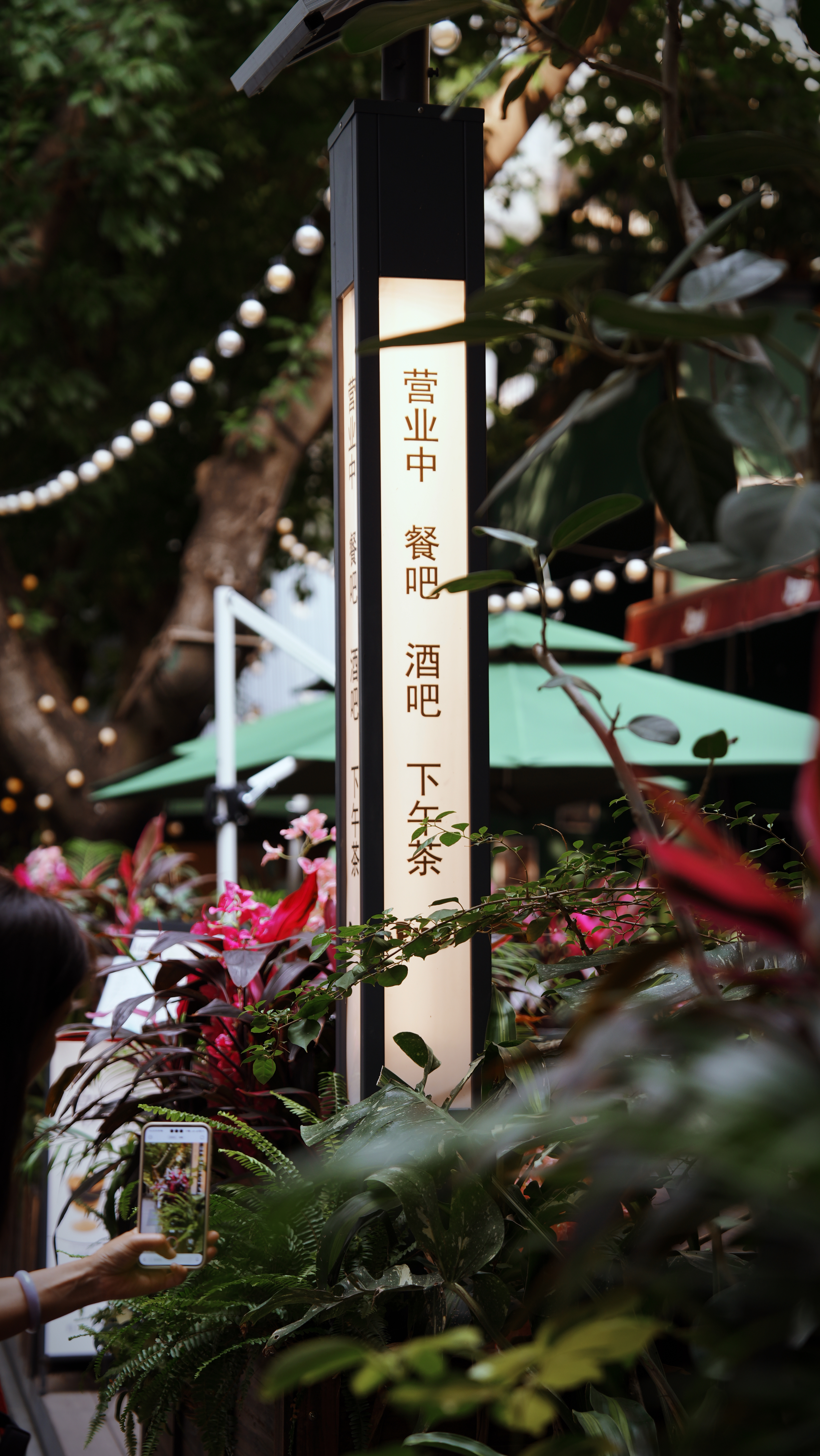 蛇口真是个休闲的好地方，安静不吵闹，妹子好多，环境还巨好，以后没事得到这里多坐坐