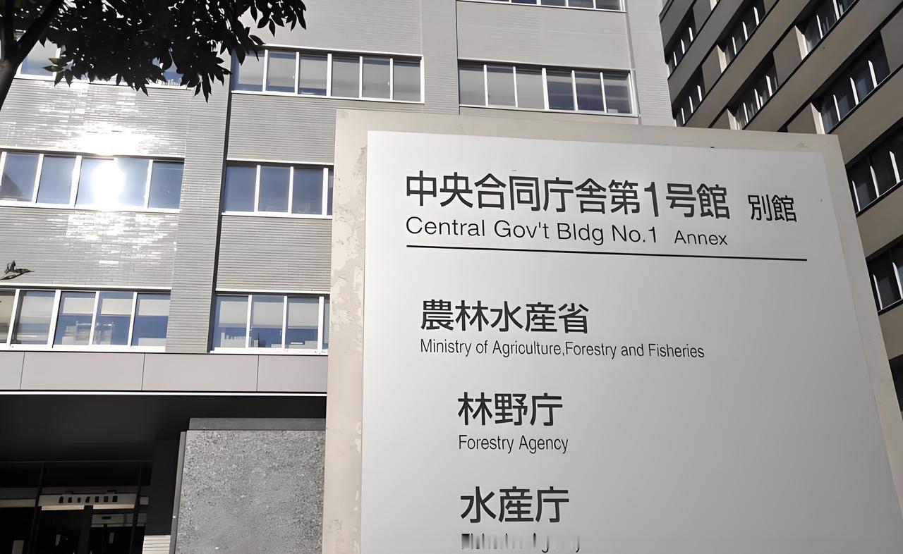 2月13日，日方释放了前一日被扣押的中国渔船船长。据报道，当地时间13日晚，日本