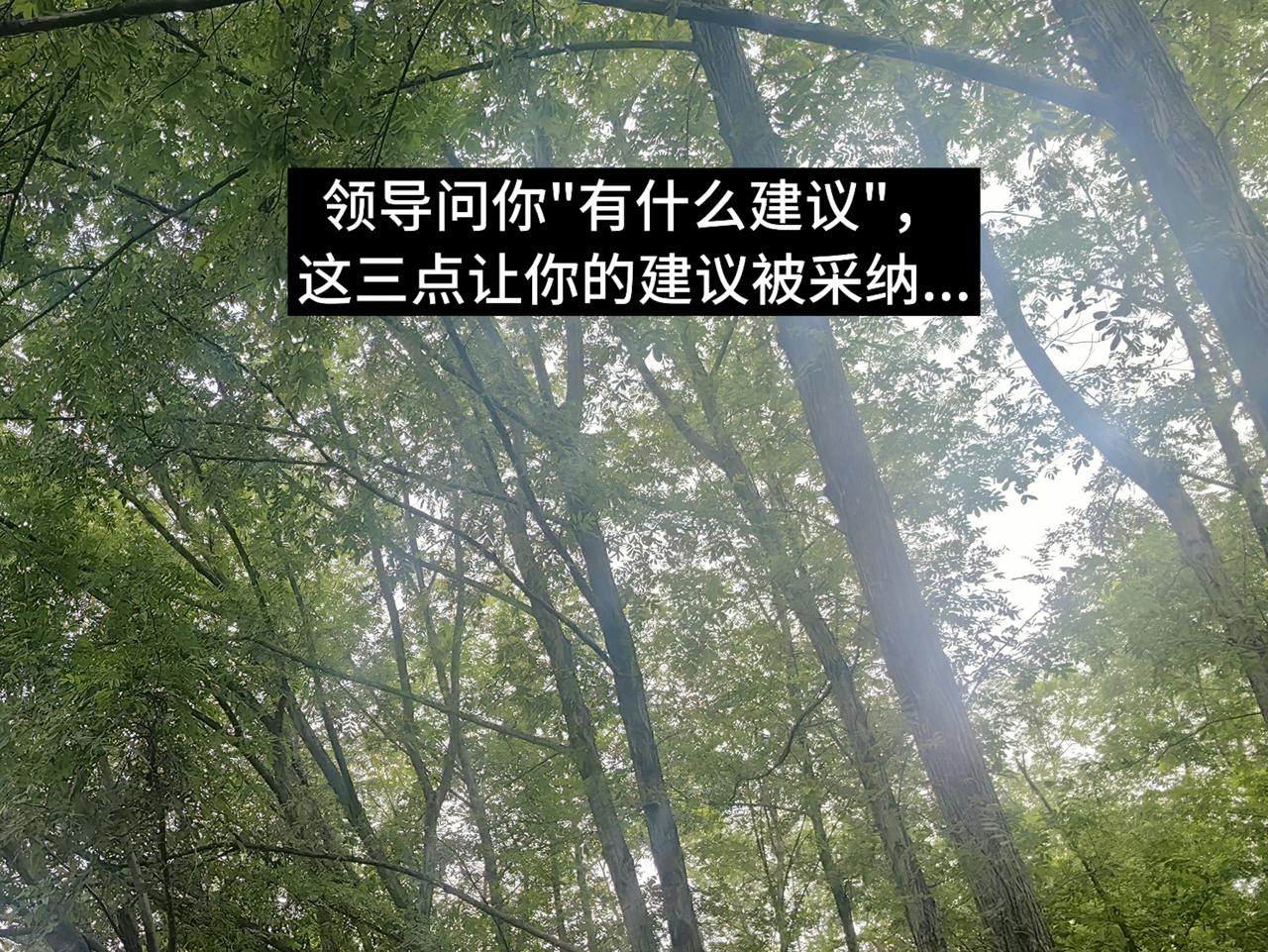 领导问你"有什么建议"，这三点让你的建议被采纳...

我有个朋友老赵，能力很强