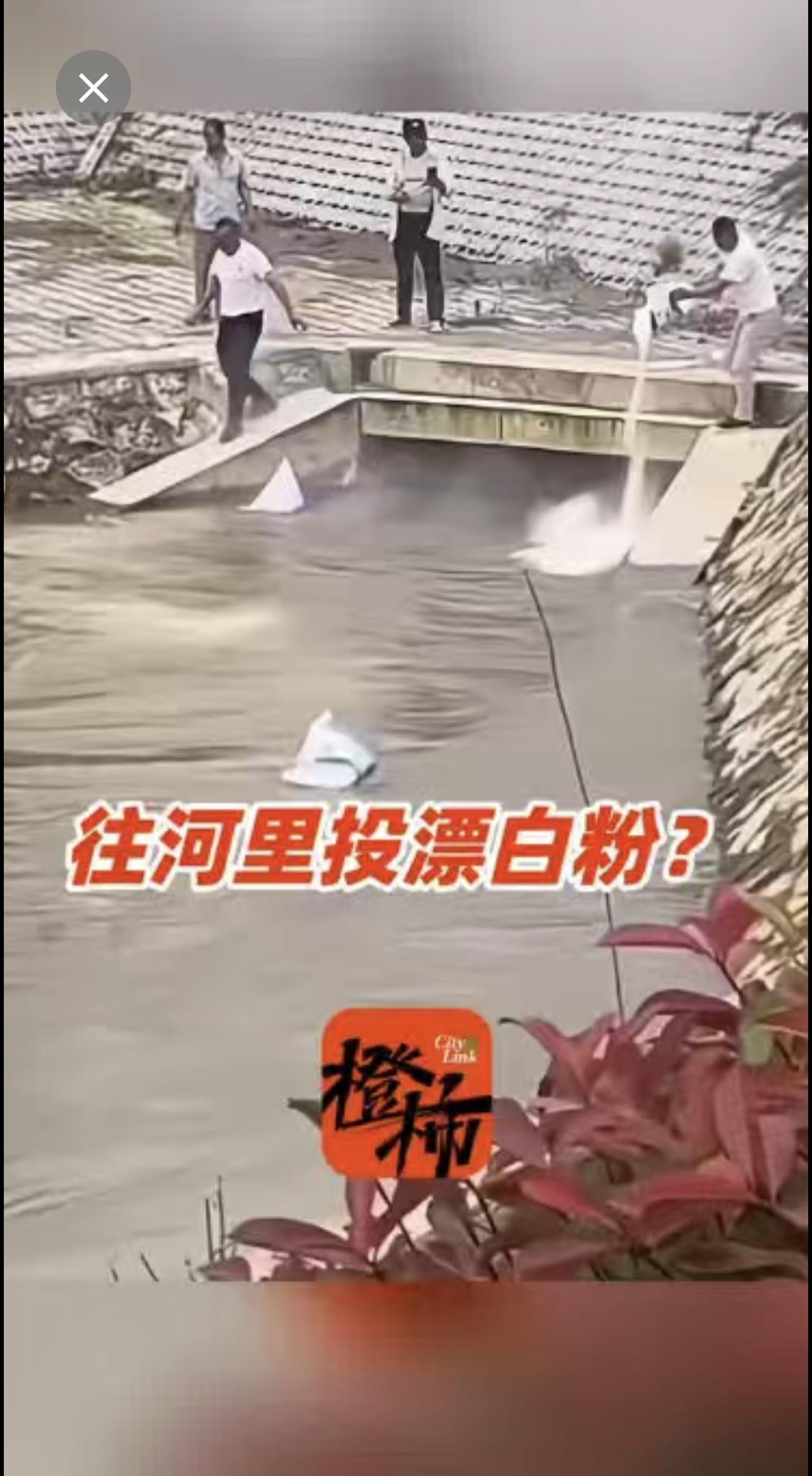 有人往河里倾倒大袋大袋粉末，袋身上写着“漂白粉”，事发后下游出现死鱼，是为了不让