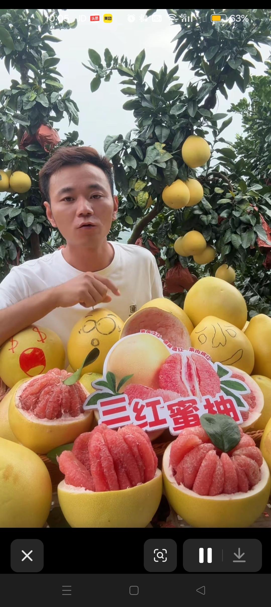 网友：林丽过嘴瘾，怀远流量越大😍


怀远今天一大早又开始卖福建三红柚子，昨天