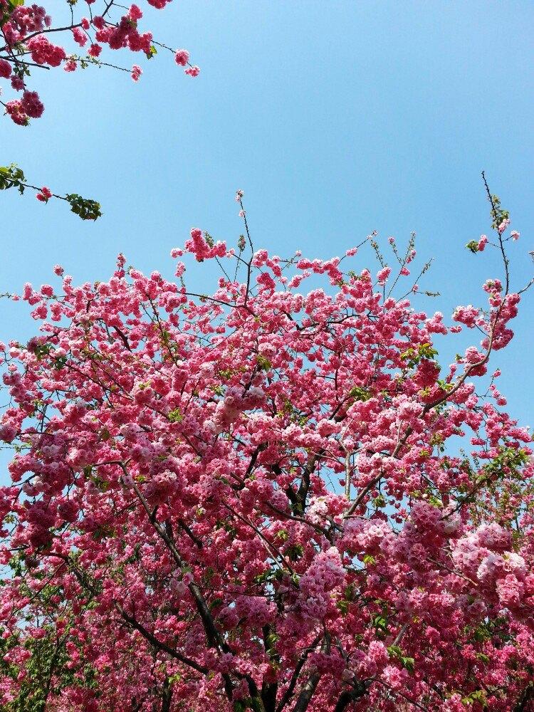 周一大A暴跌，周二该如何应对？
回顾周一大A表现，三大指数全线大幅下跌，跌幅均超