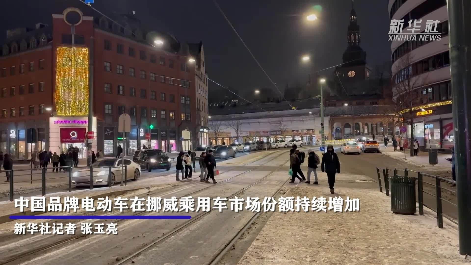 根据挪威公路联合会2026年1月2日公布的数据，中国品牌电动车在挪威乘用车市场的