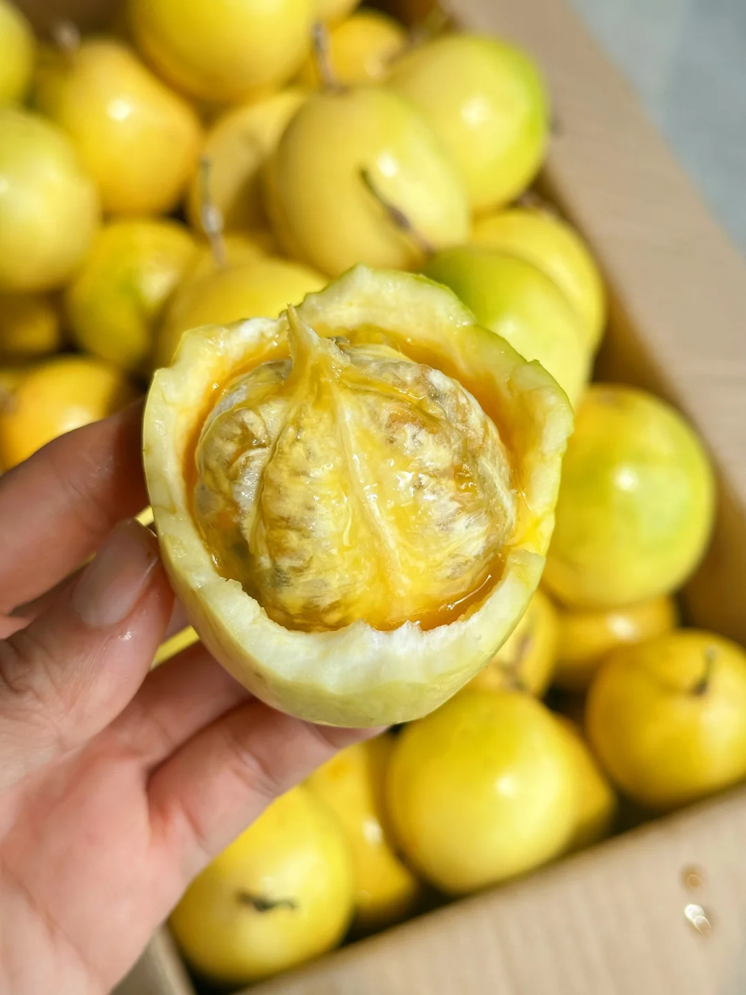 春节后的解腻水果，我举双脚推荐他！