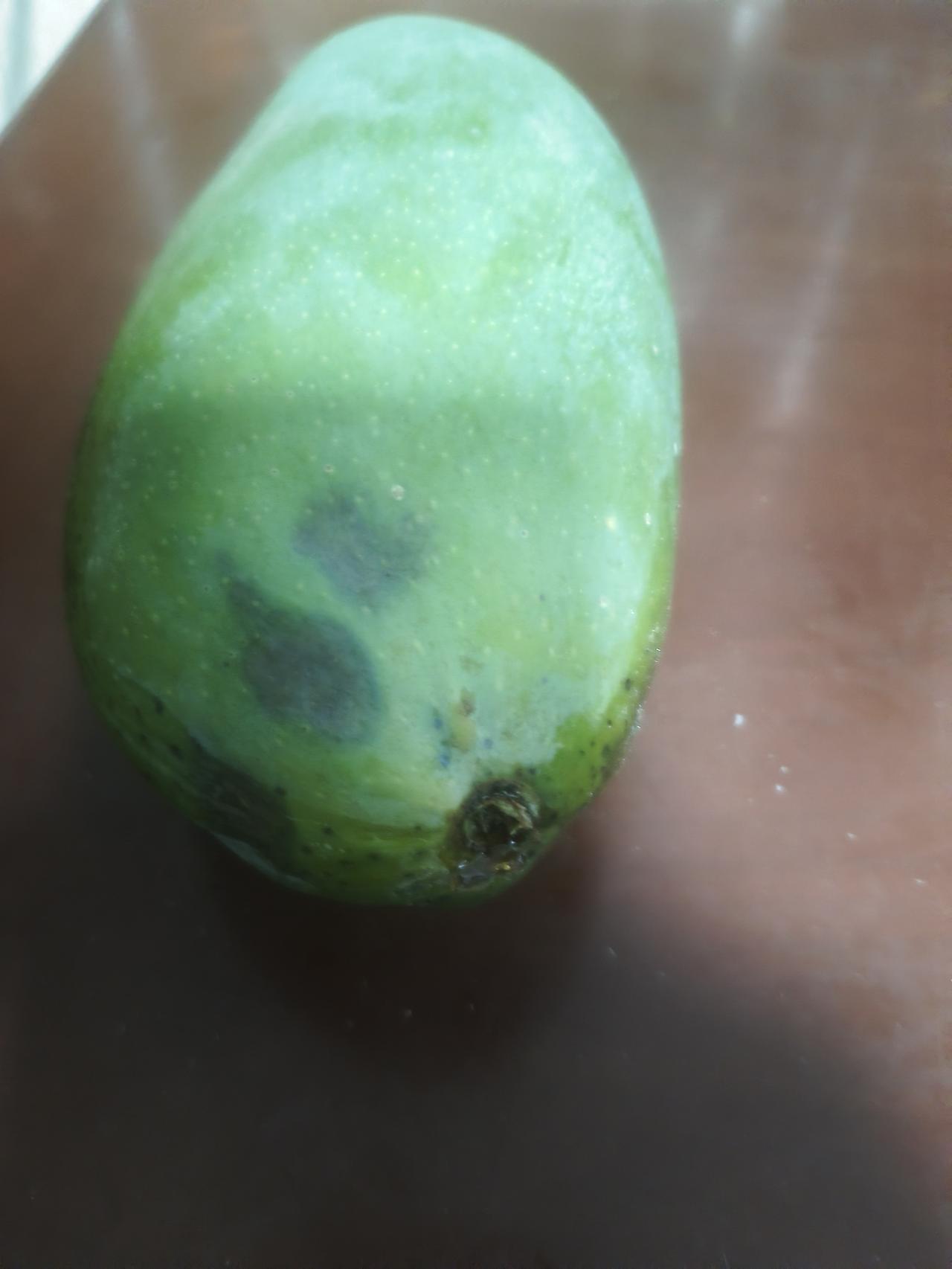 头条商城买的，买的时候选择了中果，结果到了是这么大个的：一斤多一个…
熟了，想吃