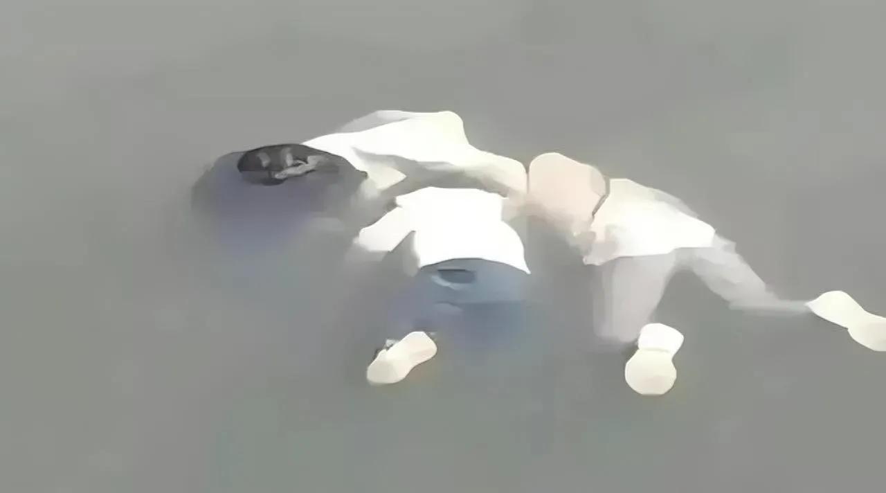 鞋大不换鞋，为什么非要锯脚？