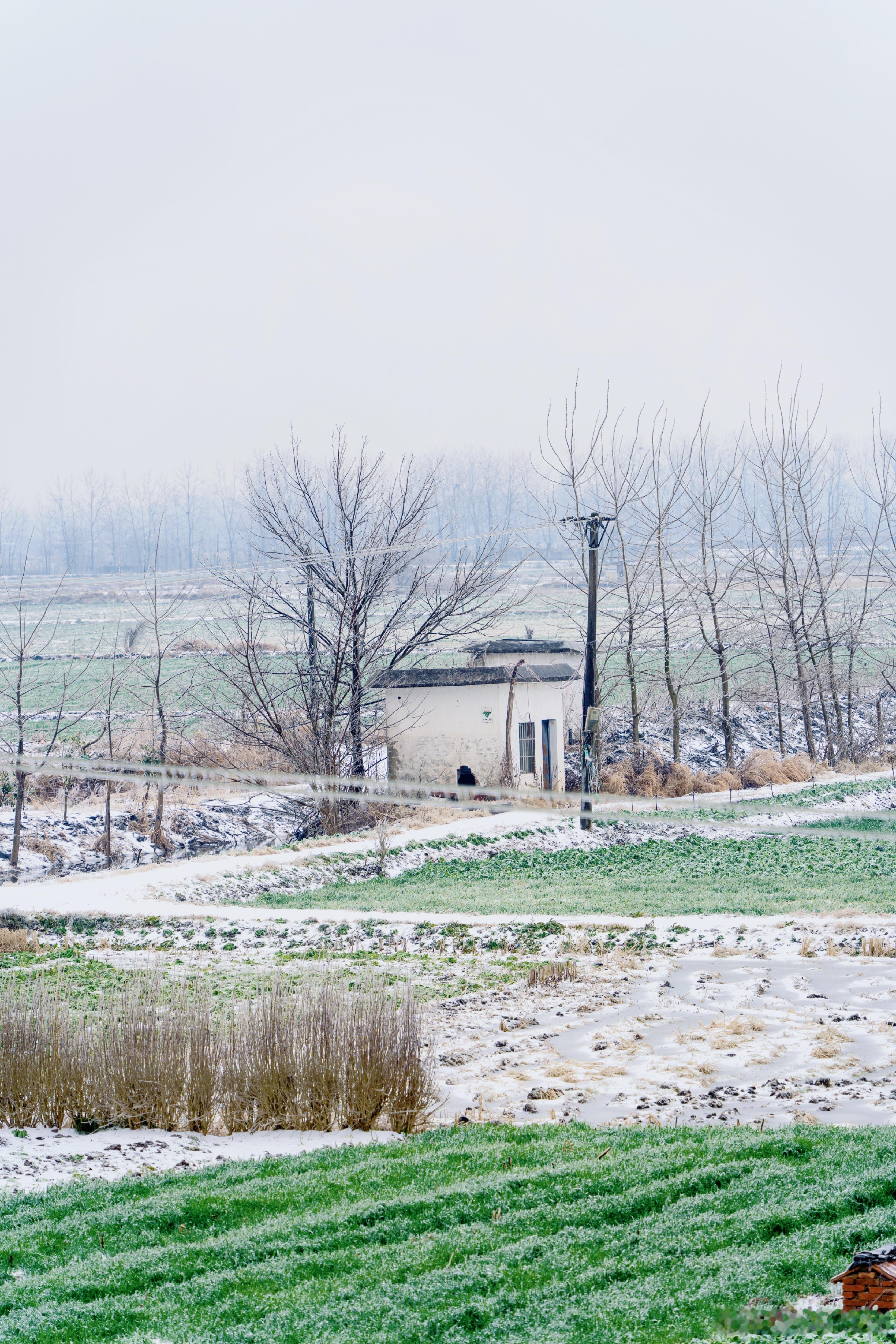 小雪  点亮美丽乡村 乡村冬日雪景，希望瑞雪兆丰年～下雪的时候出去，感觉自己就是