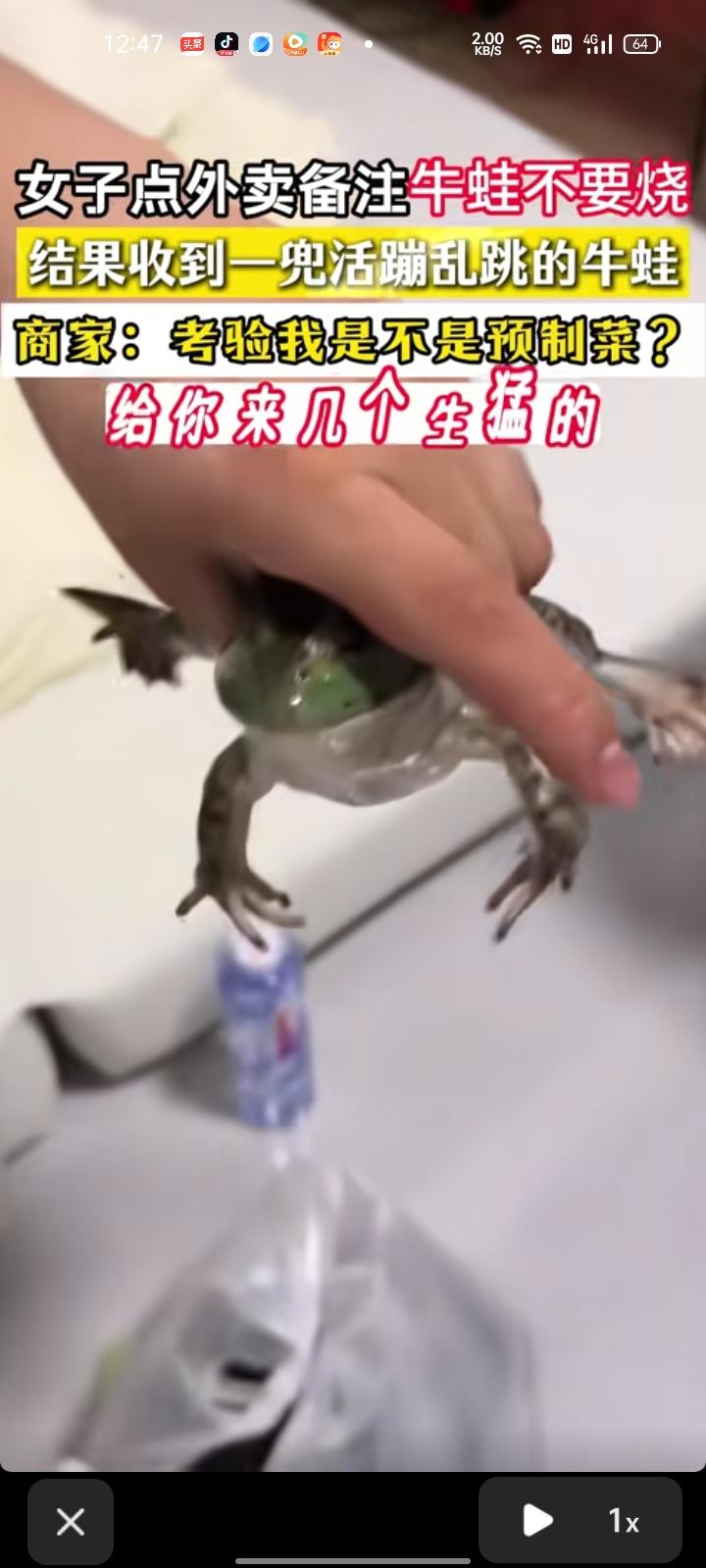 6月5日，上海。网友发视频称，手机点外卖备注“牛蛙不要烧”，结果商家真的没烧，连