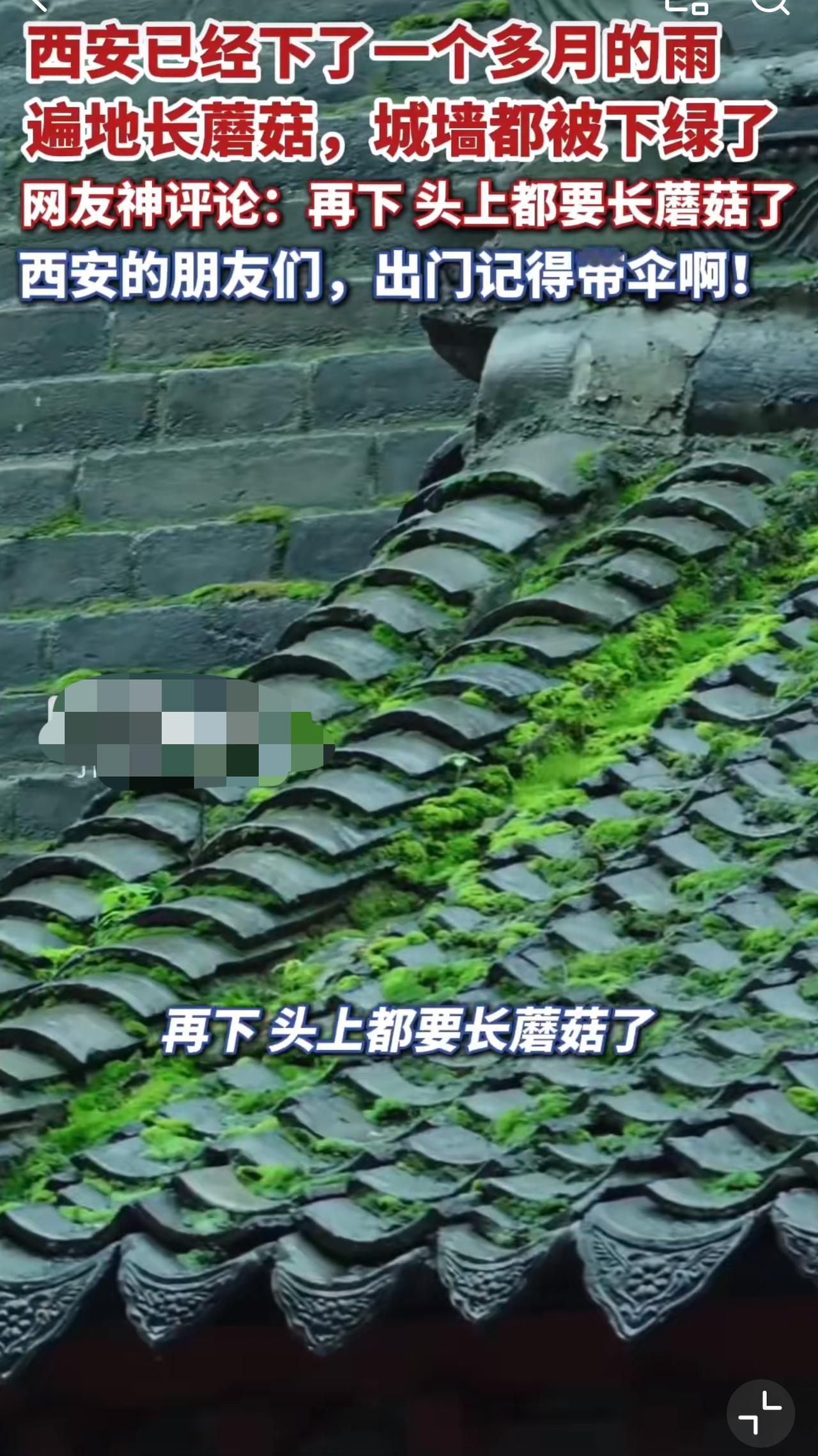 10月13日，西安终于迎来持续降雨后的首个晴天。这场从9月初便开始的降雨，断断续