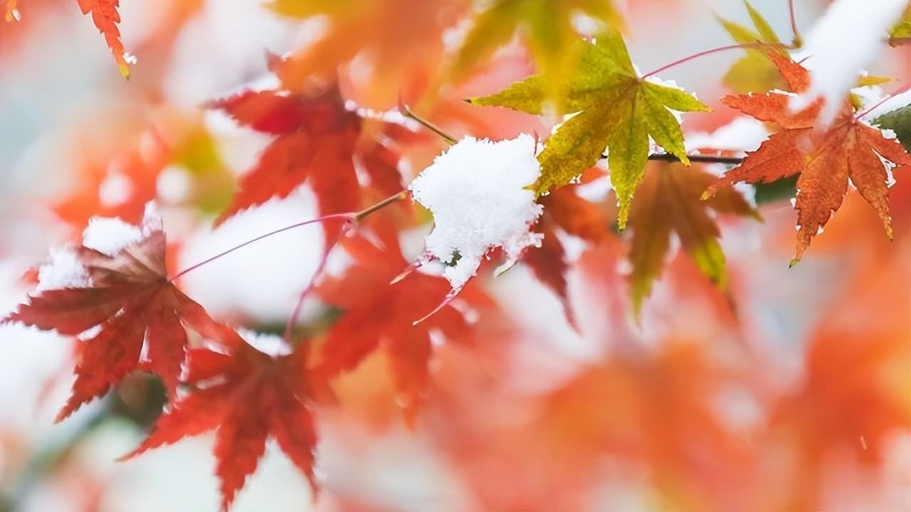 立冬后，这三种蔬菜要少买，家里有的也不建议吃，看完涨知识了
在冬季，我们应该避免