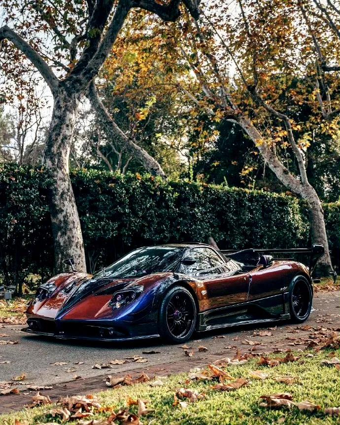 Pagani Zonda AY Roadster