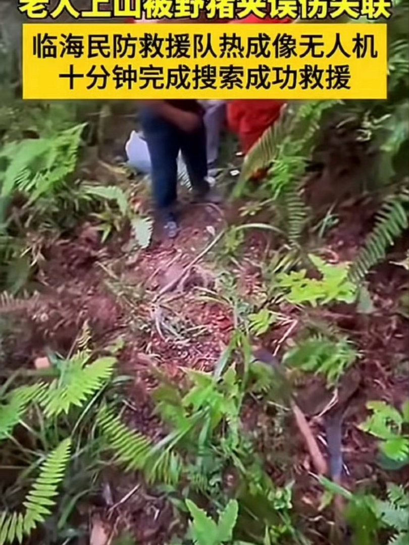 临海深山接力暖心救援失足坠坑老人不惧山路崎岖，不畏救援难题，一线救援人员迎难而上