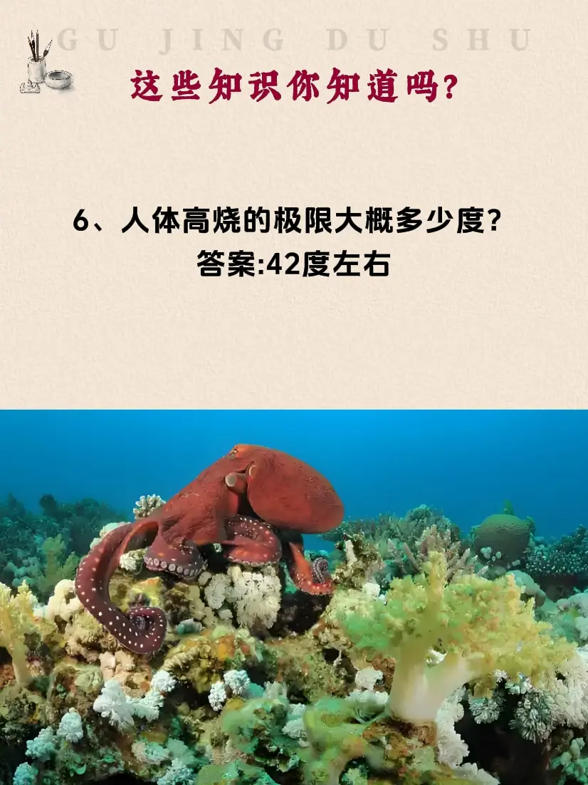 常识 知识分享 提升自己