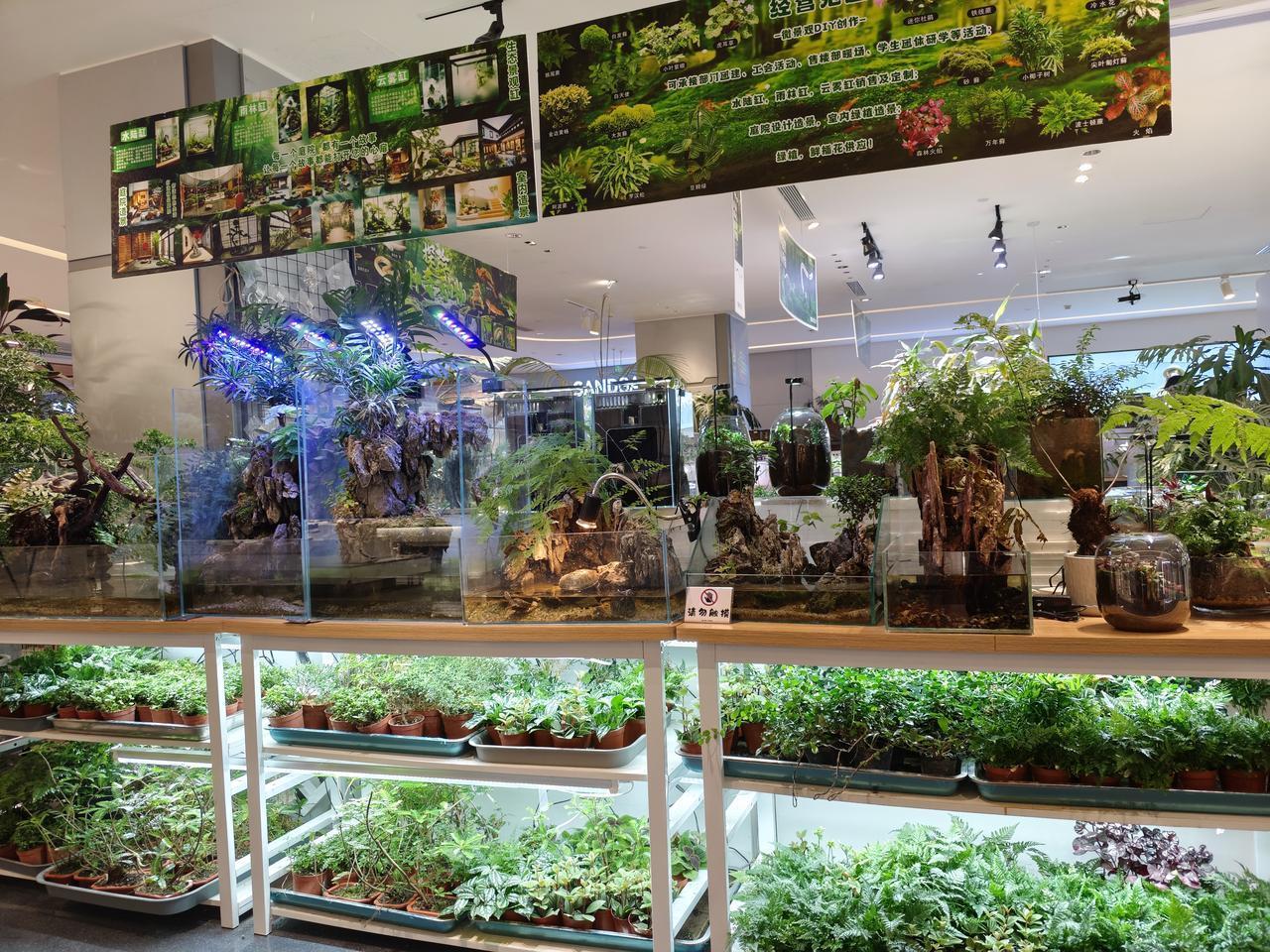 每当我看到这些小动物被关在笼子里，心里总是在想，本来都是在野外自由自在逍遥快活，