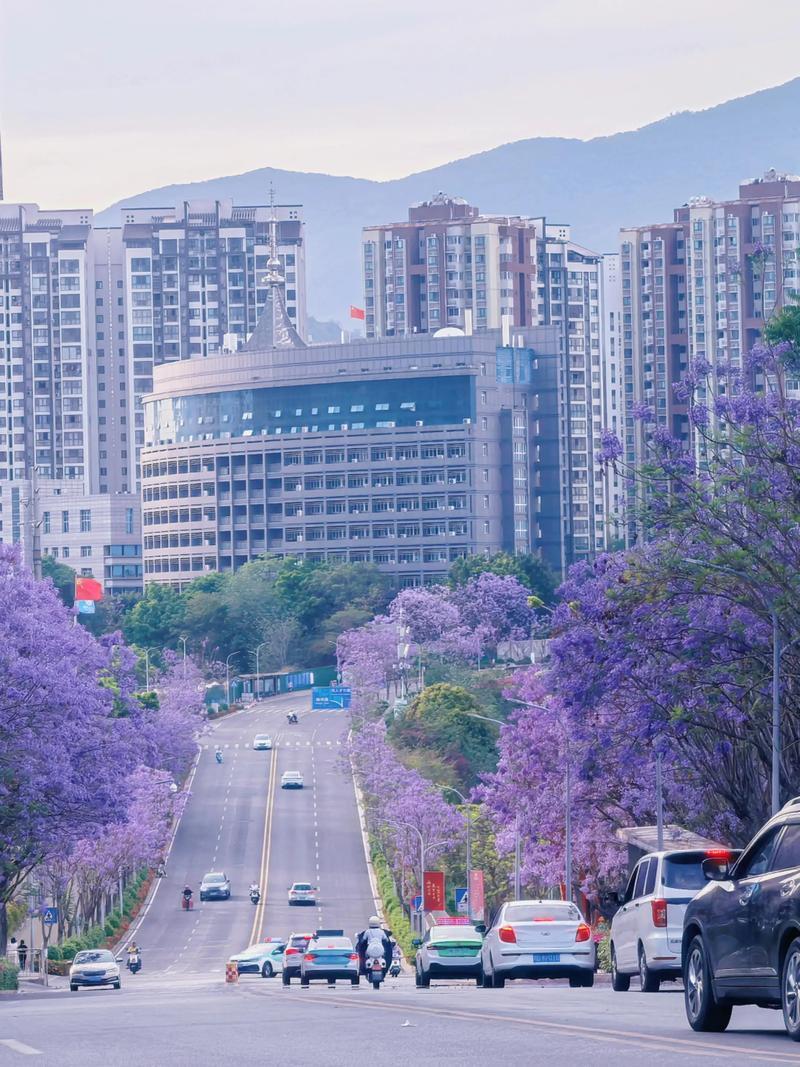 2025年重庆人均GDP比四川高24900元：重庆2025年人均地区生产总值（G