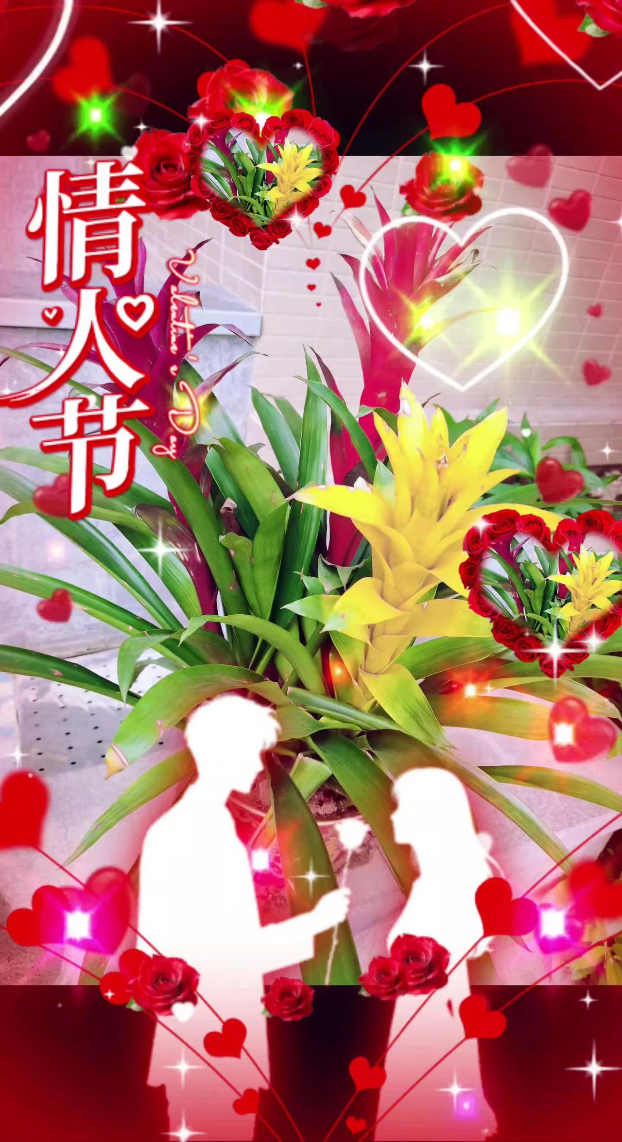 情人节快乐，哈哈，跟过风，醒醒瞌睡！