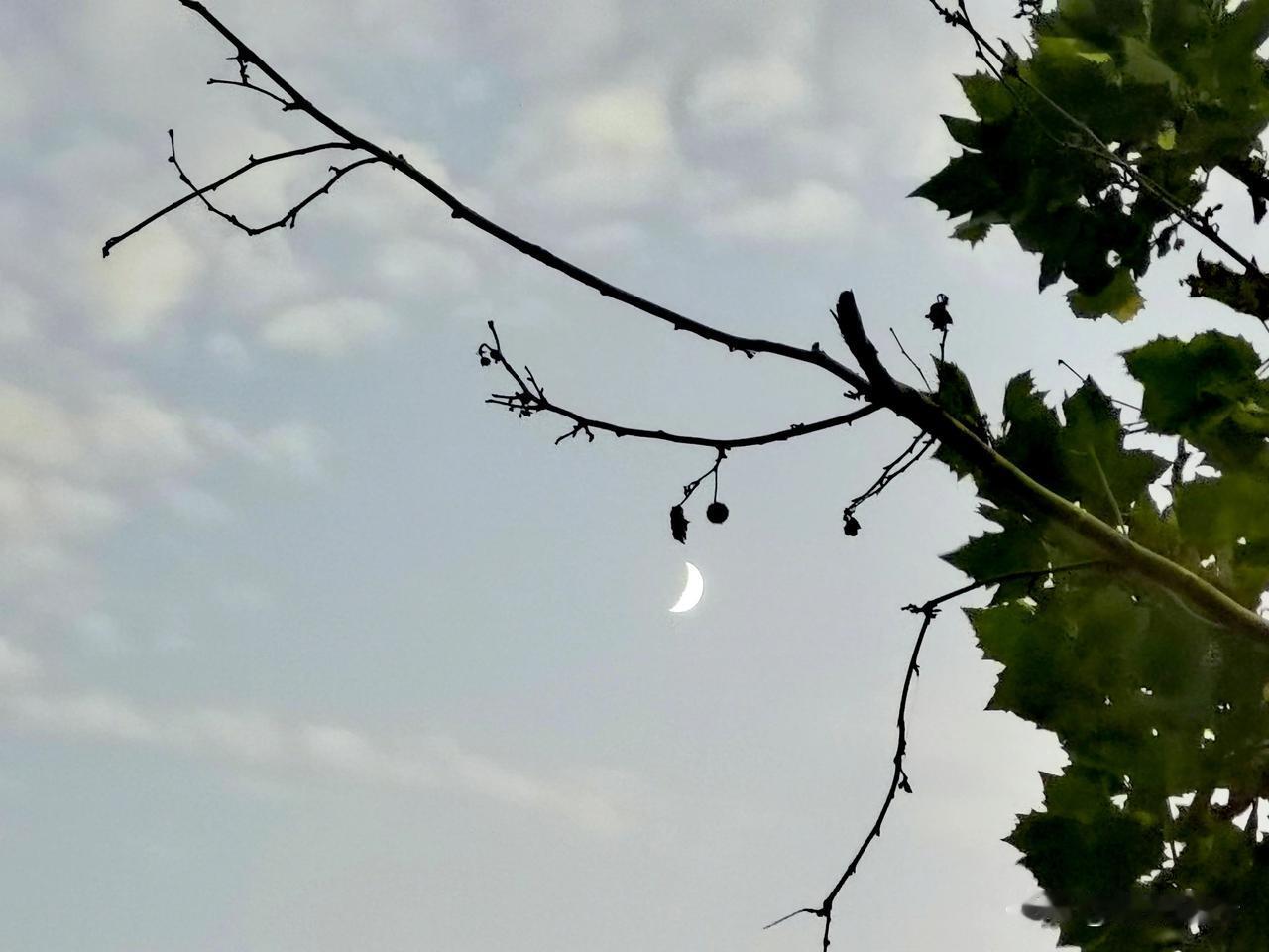 上联:上上下下上下不易，有请下联左左右右左右为难