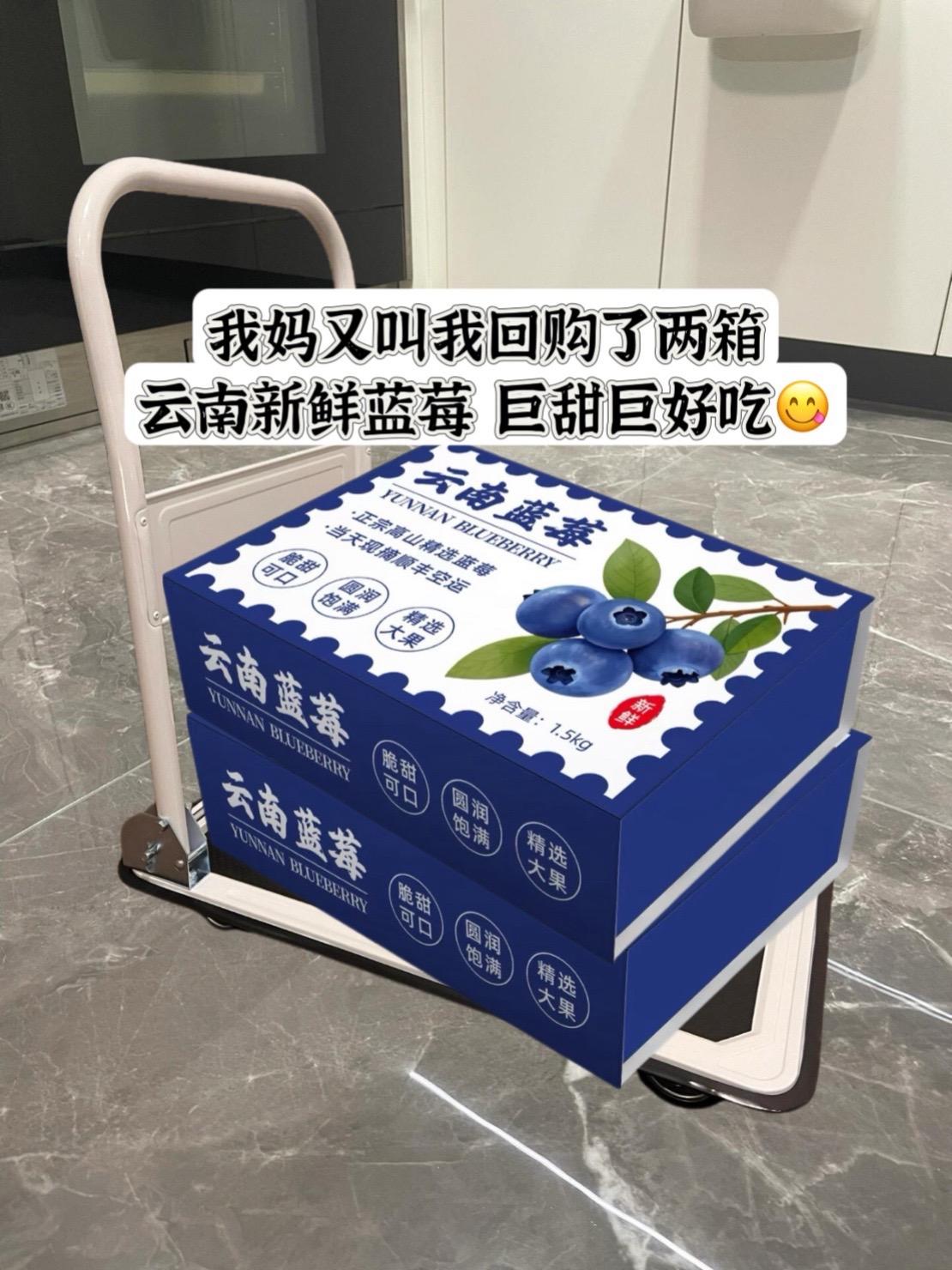 强烈安利的云南花香蓝莓！咬下瞬间饱满果肉裹挟着汁水在齿间爆开！脆和甜交...