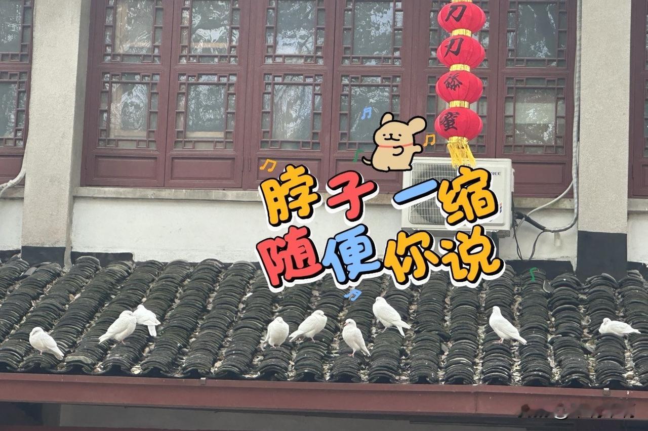 晒图笔记大赛