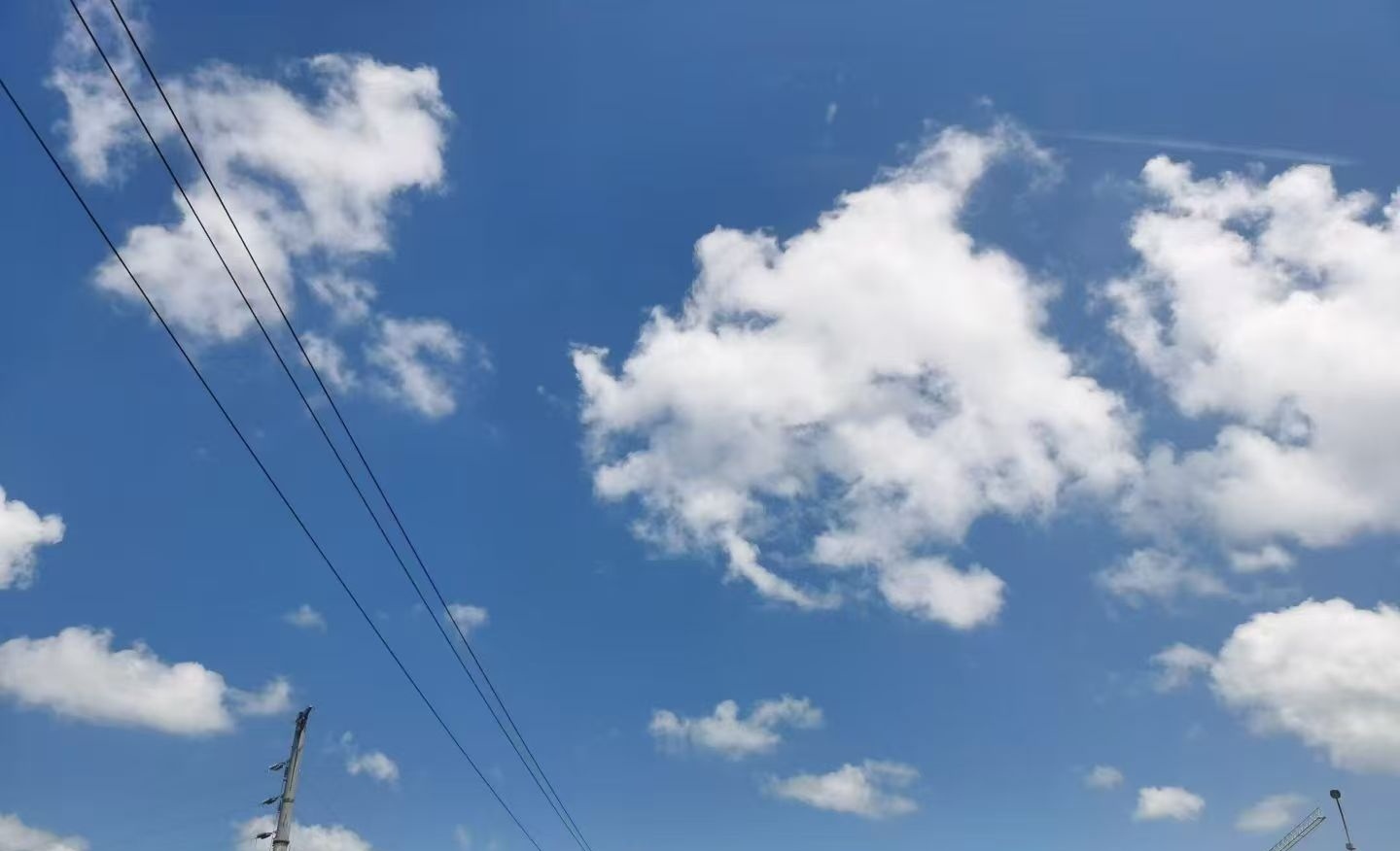 分享欲本身就是热爱同乐🥰 ​​​