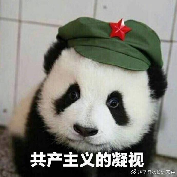 【《宫阙有时晴》——书评】有时就在想，在强调男女平等打破身份阶级的二十一新世纪，