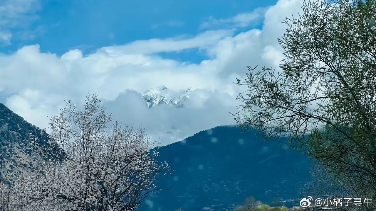 周一值得关注板块1，半导体芯片2，可控核聚变4，光芯片5，稀土、稀有金属6，创新
