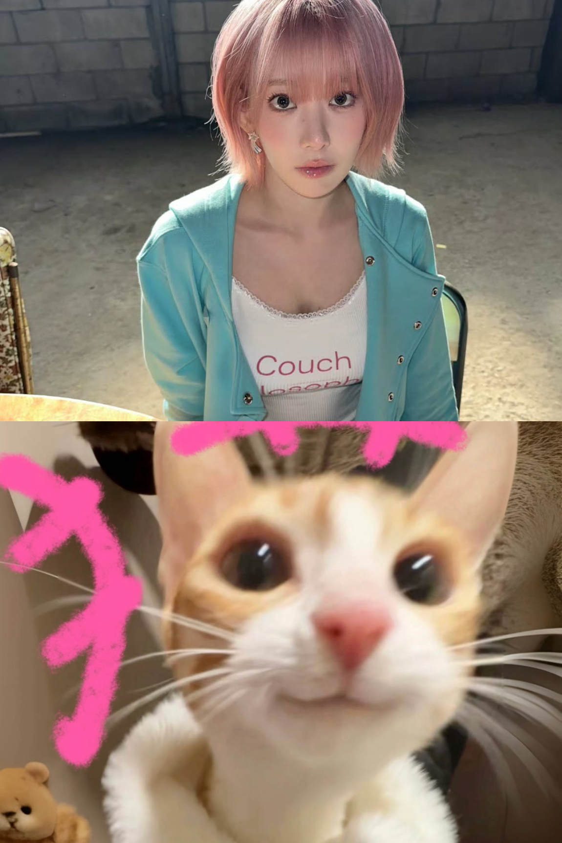 找不同😼😼😼 