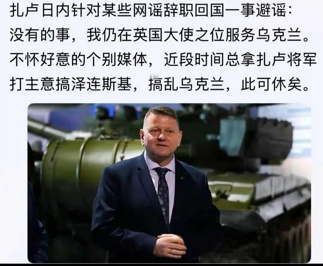 扎卢日内表态忠诚于泽连斯基，现在乌克兰境内还没有想取代泽连斯基的人选。俄罗斯除了