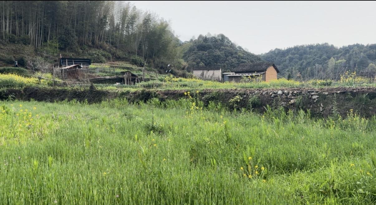小刘是农村孩子，有了公务员考试才让他有机会端上铁饭碗，本来以为这样干一个普通干部