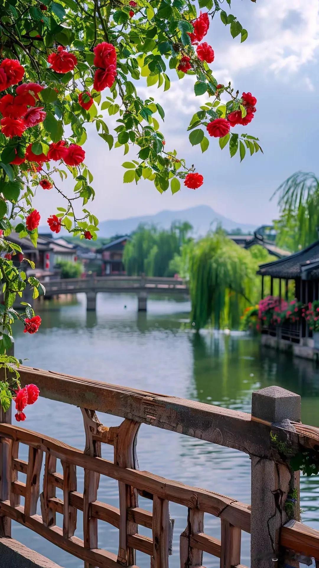 #分享相册里最美的风景##手机风景照分享# #美景照片分享# #分享图片景色# 