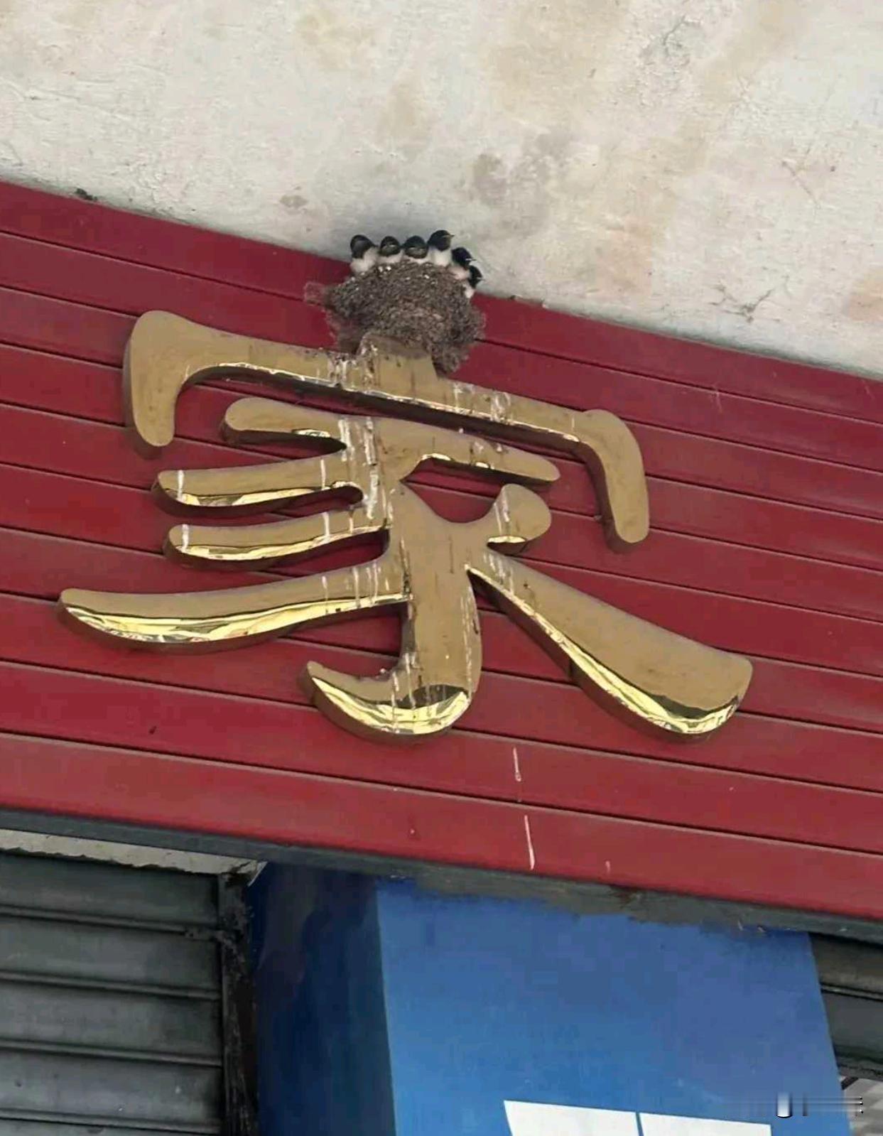 这个筑巢位置怎么样？