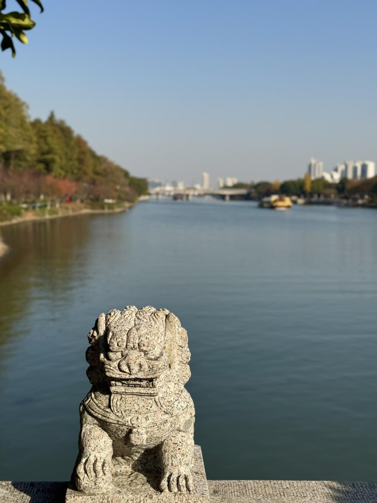 分享一张最近随手拍的照片守护