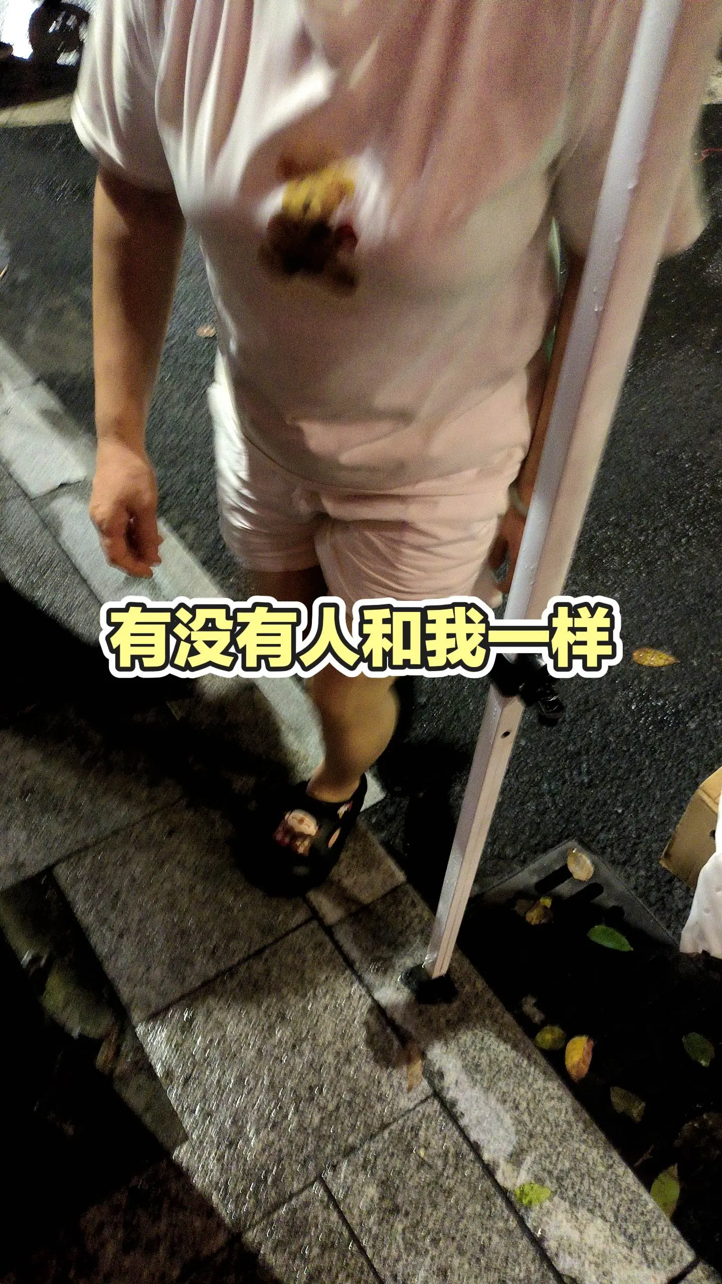 每日推文