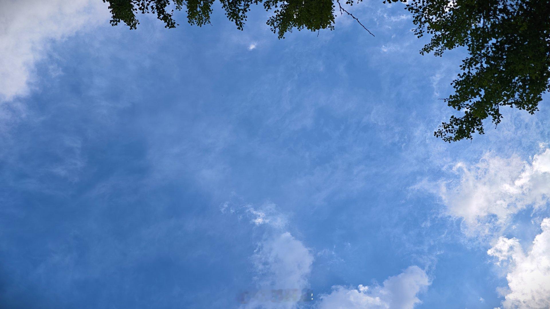 这天下雨了，你敢信？我这抬头一看，啥也没有呀。这夸夸的大雨点从哪来的？ 