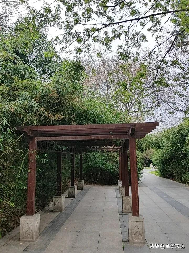 西安已经进入夏天模式，明后天最高气温接近30℃了，这还没有到清明节，就这样了。