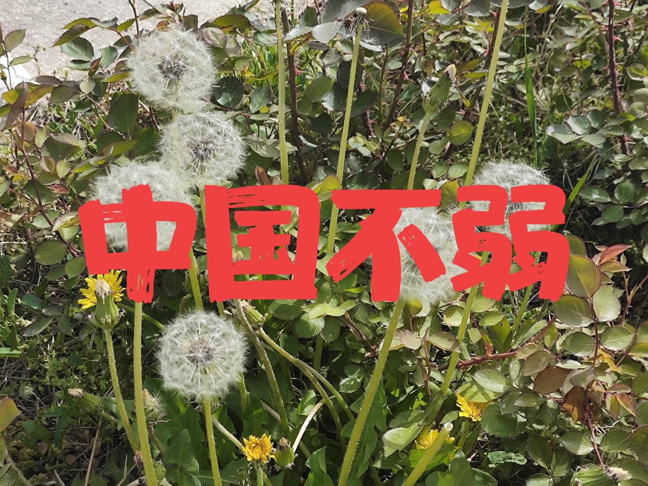 中国空军不如美国？都谁说的？
那么多专家，那么多评论，都说中国空军不如美国？
不