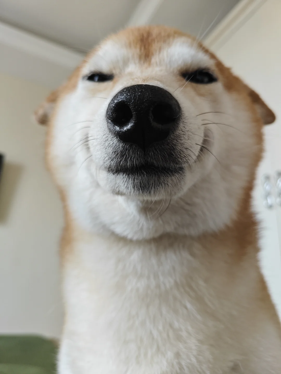 你好吗嘿嘿嘿