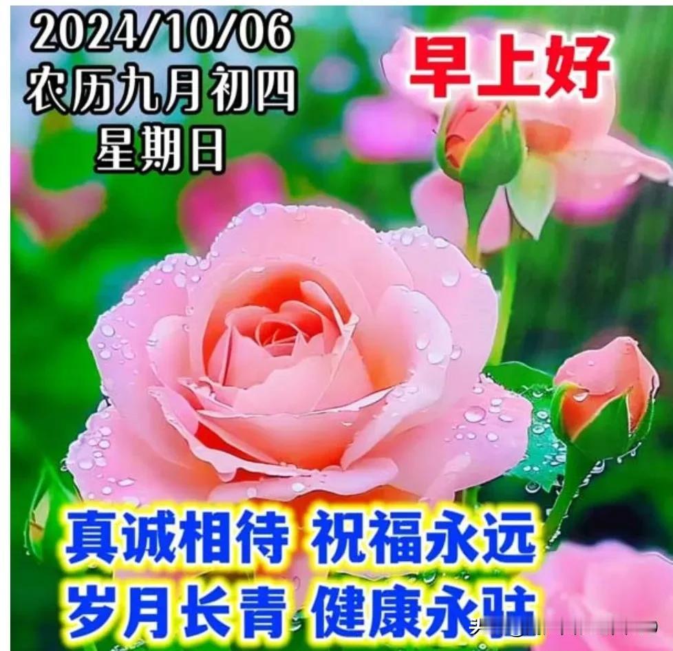 晨光初露，问候轻送；
季节变迁，日历轻翻；
人间忽晚，山河已秋；
风来听风，雨来