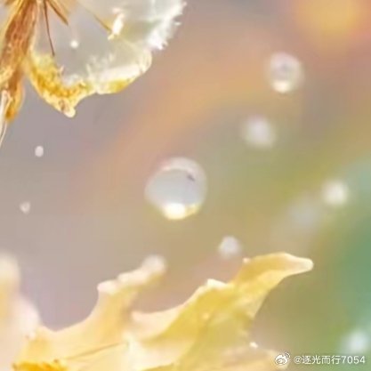 早安世界或许不够完美，但你可以让自己活得温柔又坚定。 