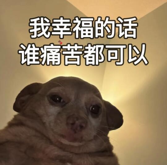 像我这种天天发朋友圈的人每年只有今天不发