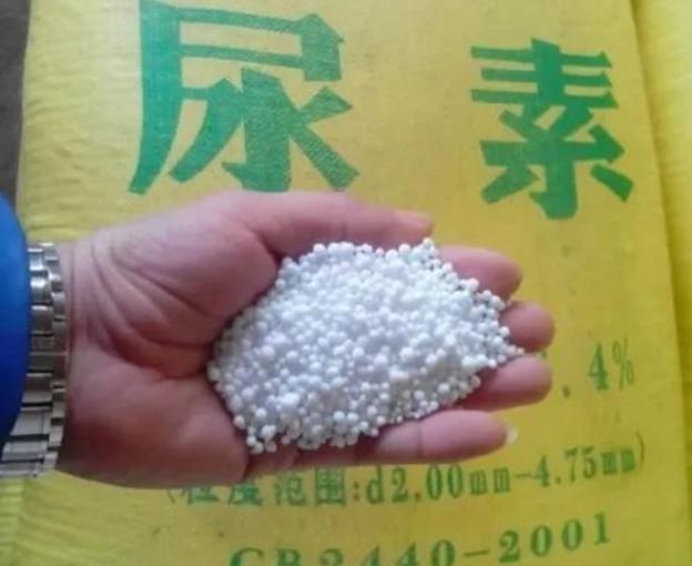 为什么柴油车要加尿素？不加尿素会怎么样？
答案来了在柴油车的使用过程中，加注尿素