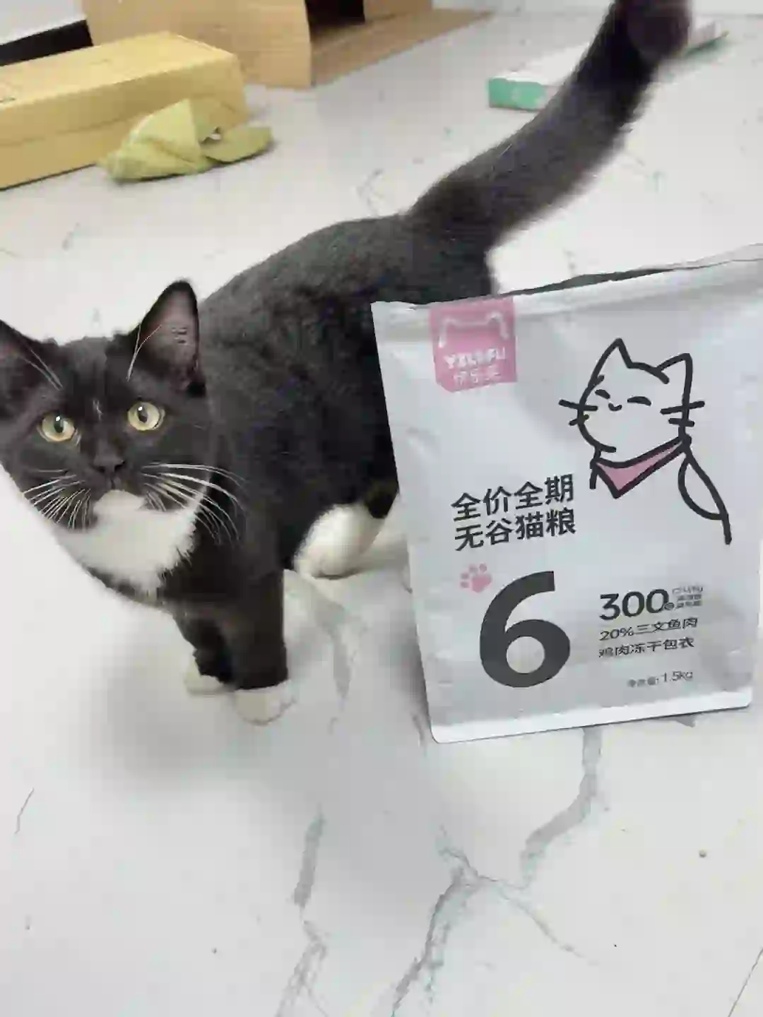 希望它火！但又不希望它太火的猫粮！