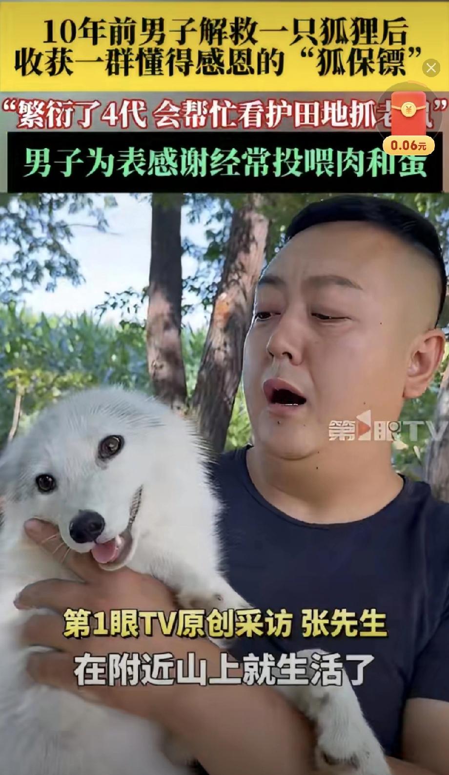 ---

十年前随手救了一只受伤的白狐，谁能想到，今天竟收获了一大家子“狐保镖”