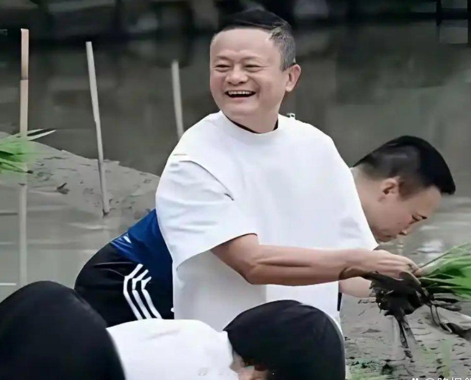 云锋基金辟谣了，没投。马云投了家美国AI公司